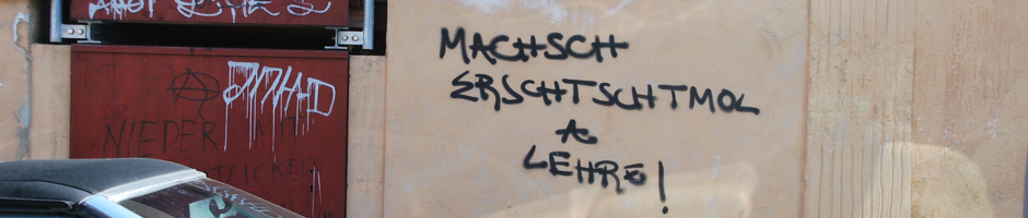 Diversity and vocational training Graffito Tuebingen 2013